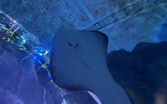 리뷰 대표 이미지