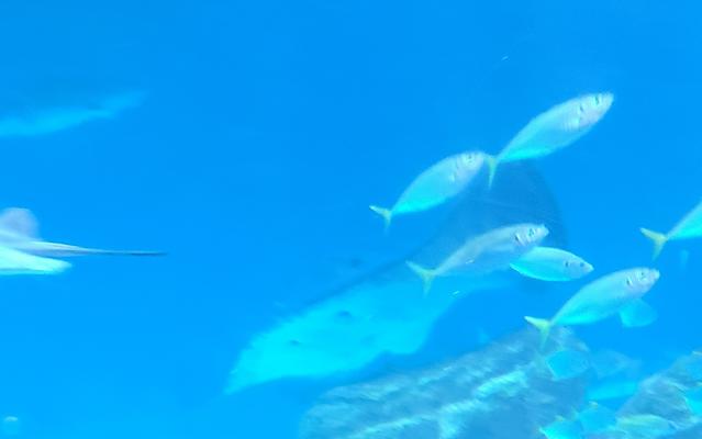 리뷰 대표 이미지