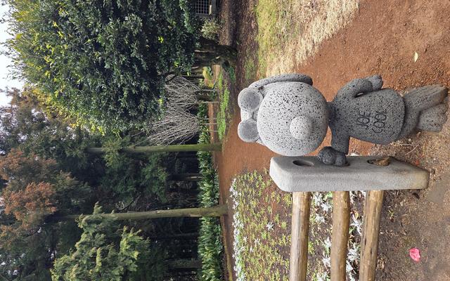 리뷰 대표 이미지