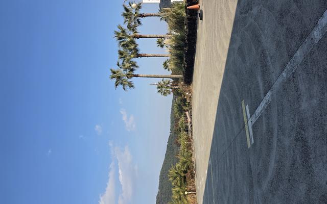 리뷰 대표 이미지