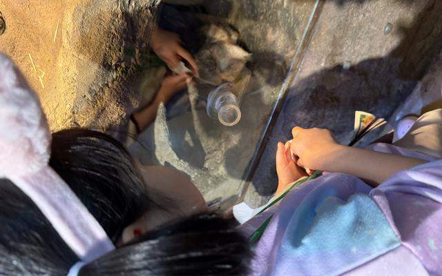 리뷰 대표 이미지