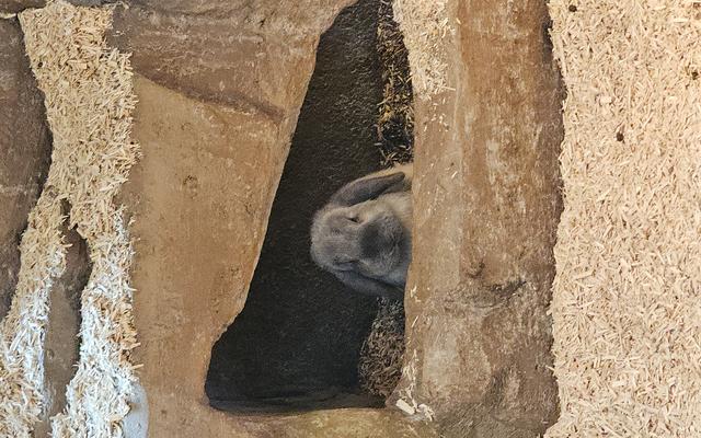 리뷰 대표 이미지