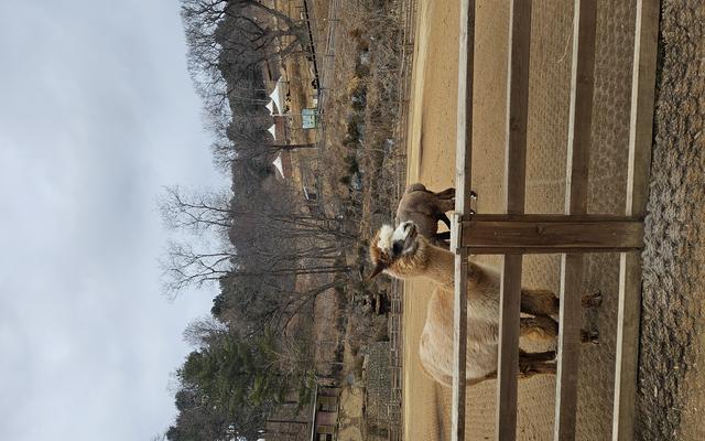 리뷰 대표 이미지