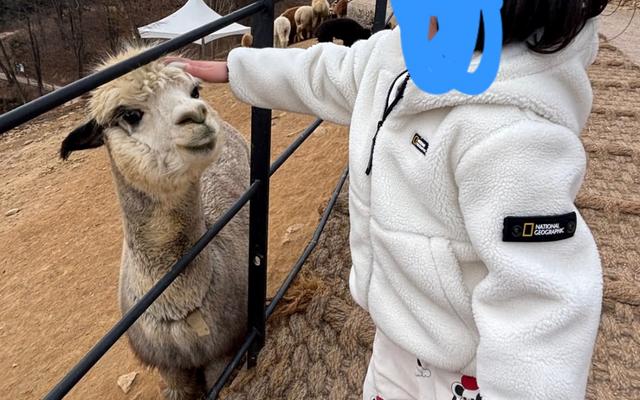 리뷰 대표 이미지