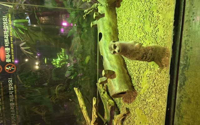 리뷰 대표 이미지