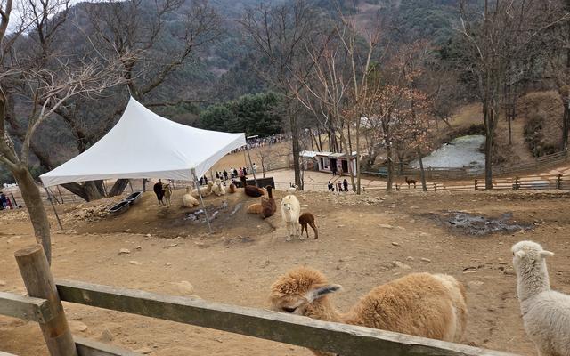 리뷰 대표 이미지