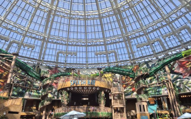 리뷰 대표 이미지