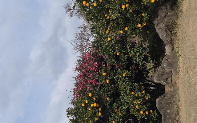 리뷰 대표 이미지