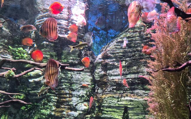 리뷰 대표 이미지