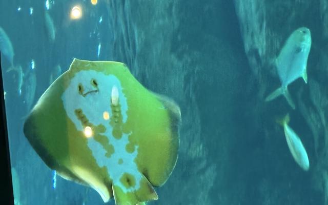 리뷰 대표 이미지