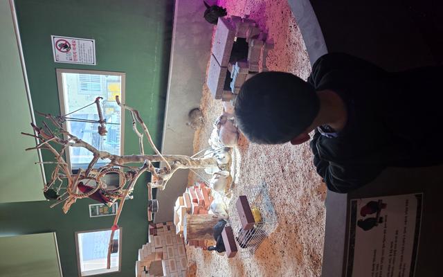 리뷰 대표 이미지