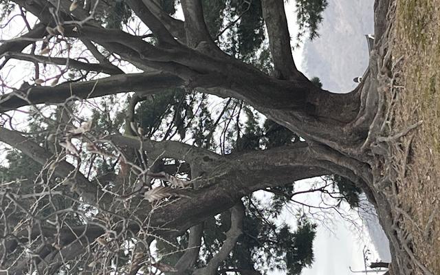 리뷰 대표 이미지