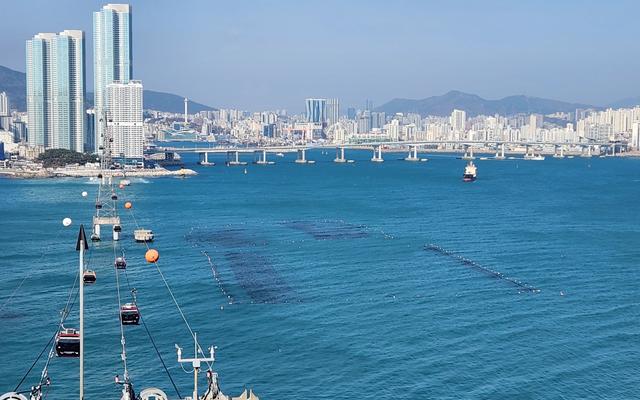 리뷰 대표 이미지