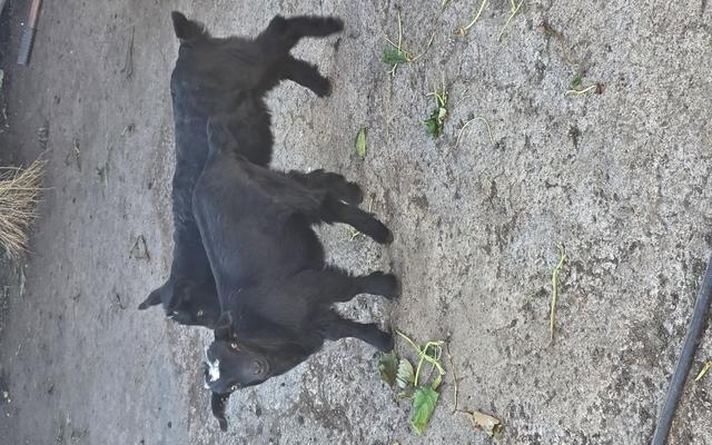 리뷰 대표 이미지