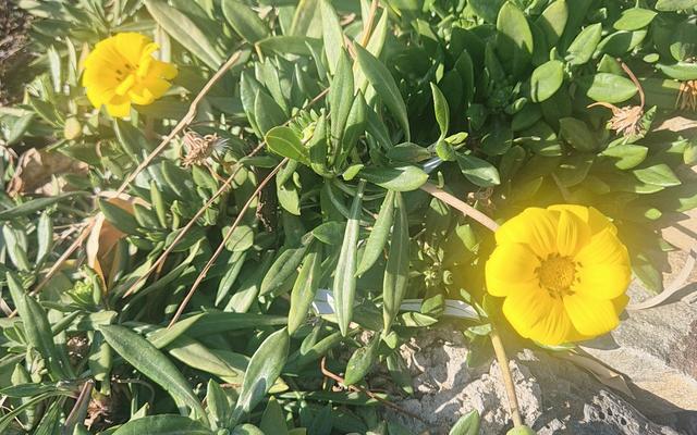 리뷰 대표 이미지