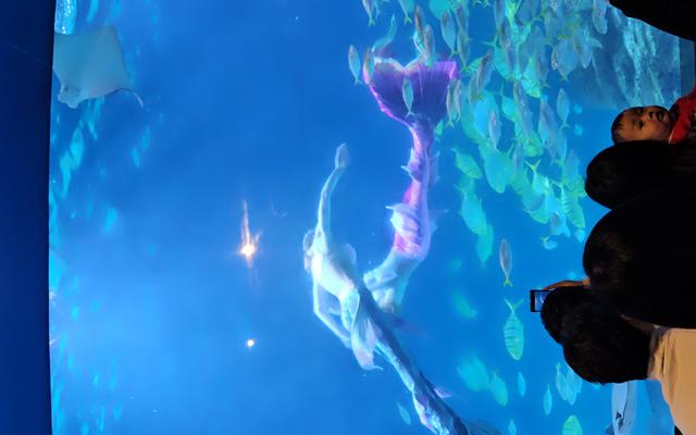 리뷰 대표 이미지