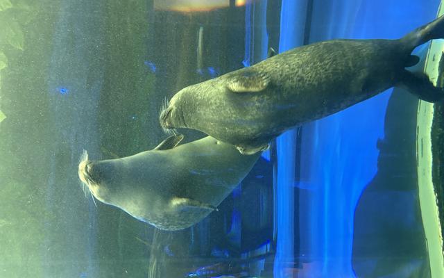 리뷰 대표 이미지