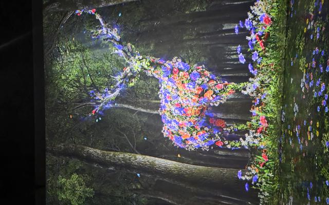 리뷰 대표 이미지