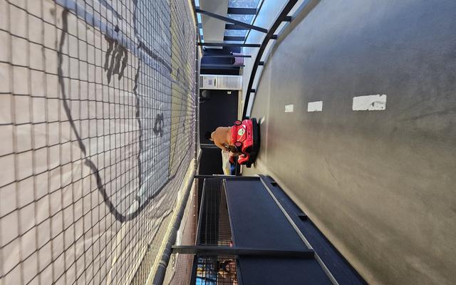 리뷰 대표 이미지