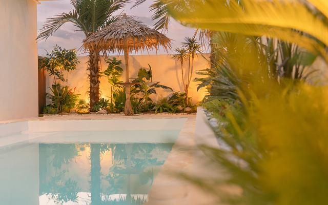 강릉 로맨스 인 강문