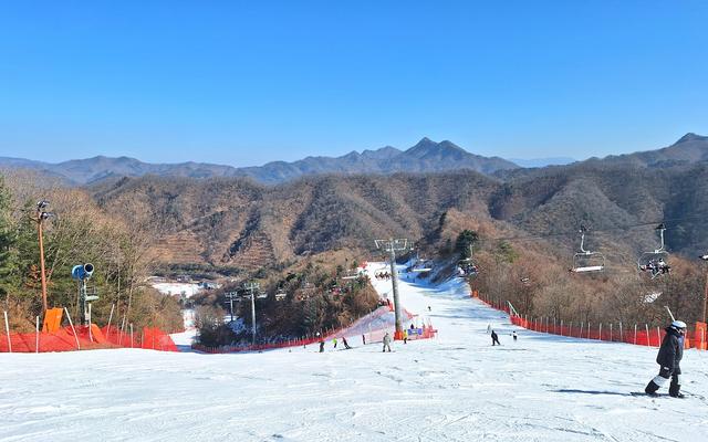 리뷰 대표 이미지