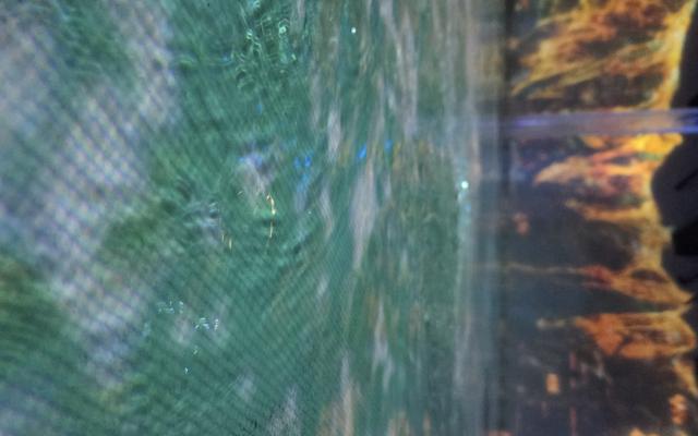 리뷰 대표 이미지