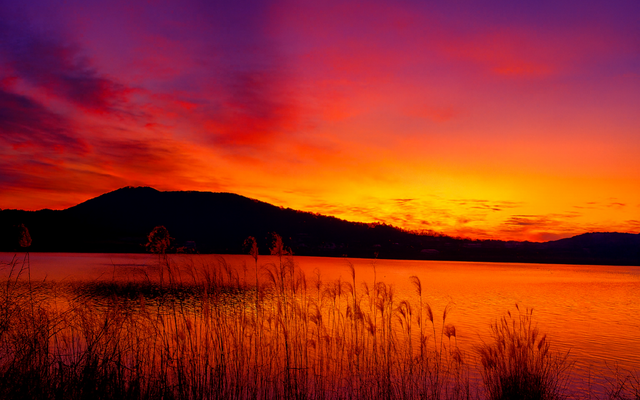 장성 솔레이크펜션