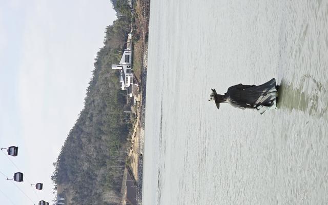 리뷰 대표 이미지