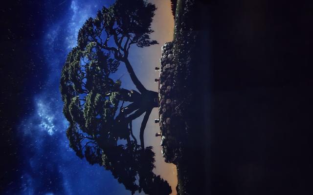 리뷰 대표 이미지