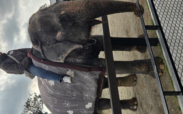 리뷰 대표 이미지