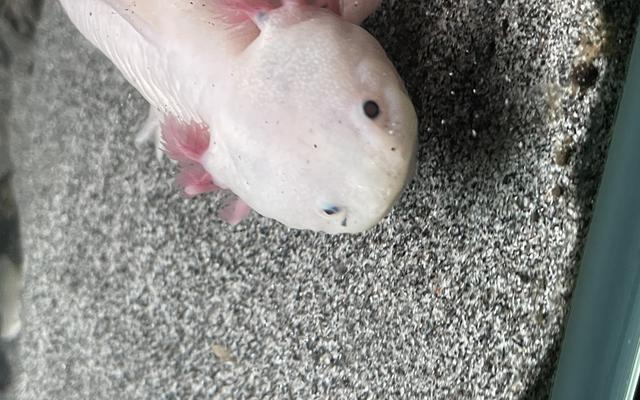 리뷰 대표 이미지