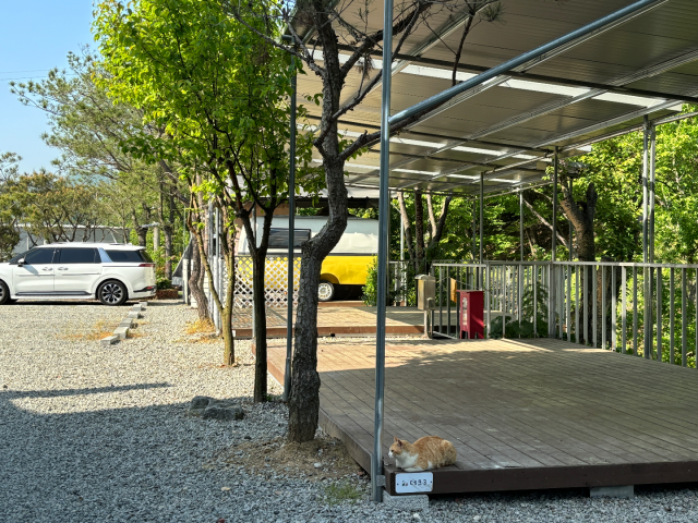 https://yaimg.yanolja.com/v5/2026/03/05/07/69a932fd841b48.72921138.png