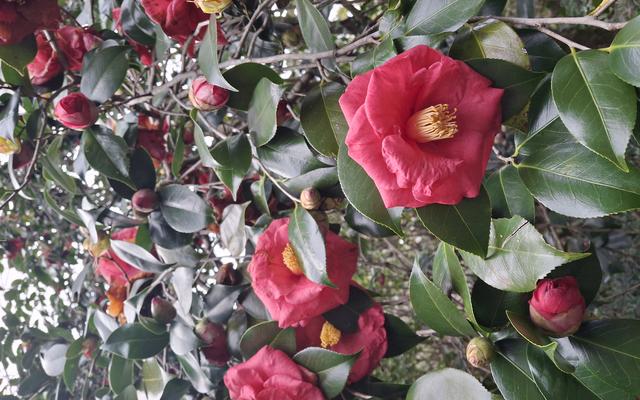 리뷰 대표 이미지