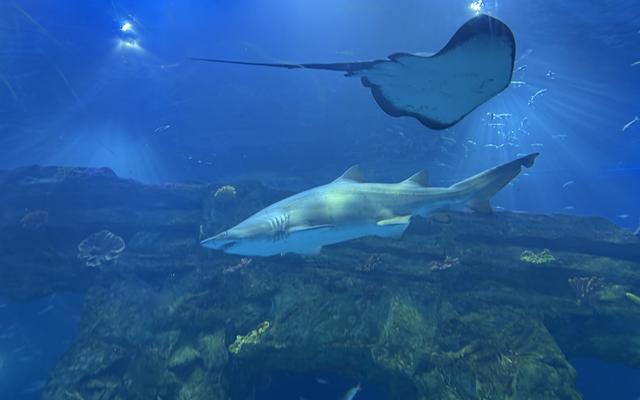 리뷰 대표 이미지