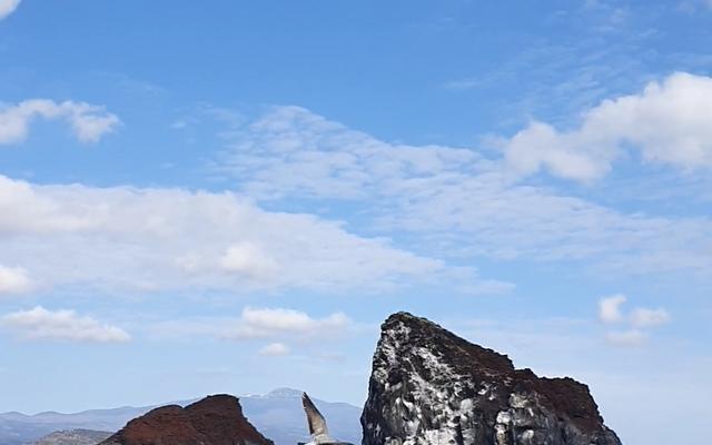 리뷰 대표 이미지