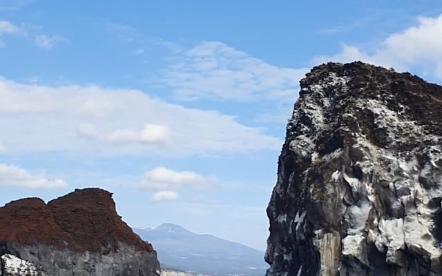 리뷰 대표 이미지