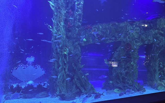 리뷰 대표 이미지