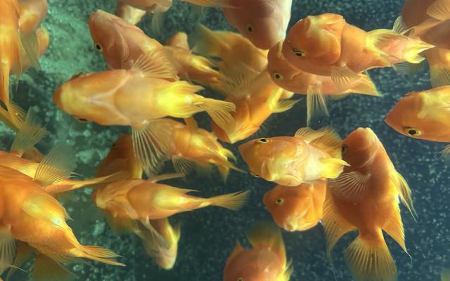 리뷰 대표 이미지