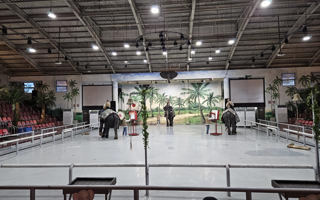 리뷰 대표 이미지