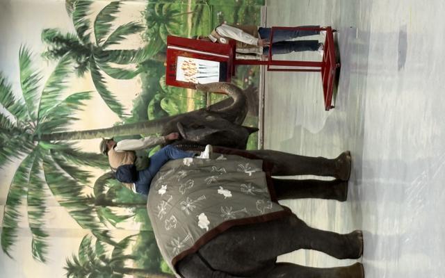 리뷰 대표 이미지