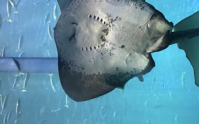 리뷰 대표 이미지