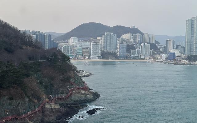 리뷰 대표 이미지