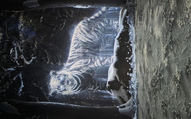 리뷰 대표 이미지