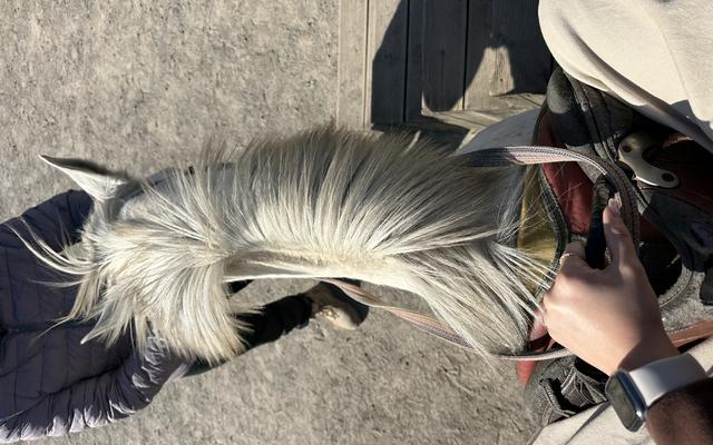 리뷰 대표 이미지