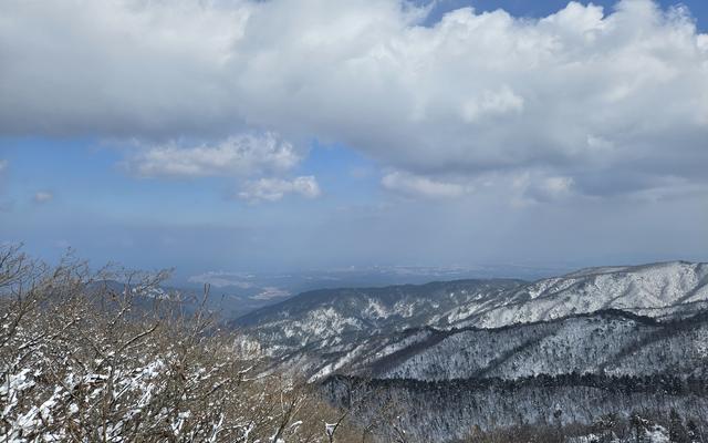 리뷰 대표 이미지