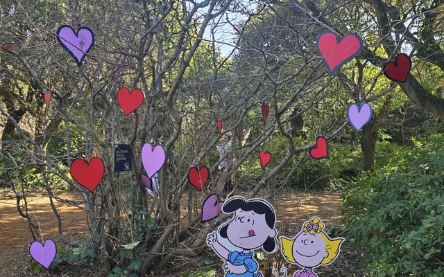 리뷰 대표 이미지