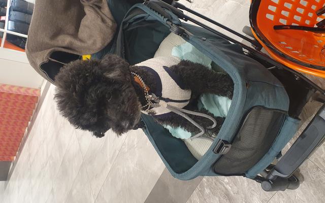 리뷰 대표 이미지