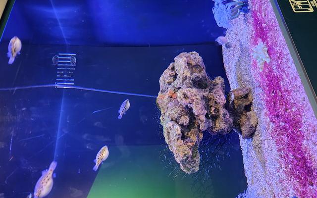 리뷰 대표 이미지