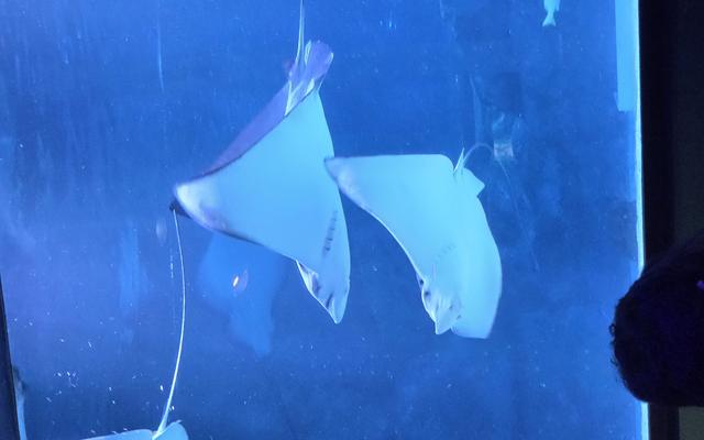 리뷰 대표 이미지