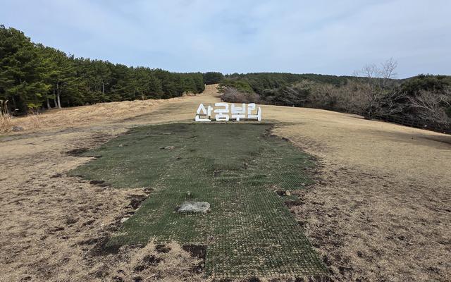 리뷰 대표 이미지